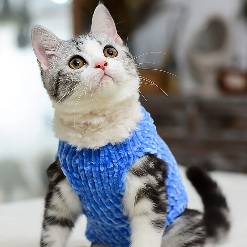 Handmade Cat Sweater