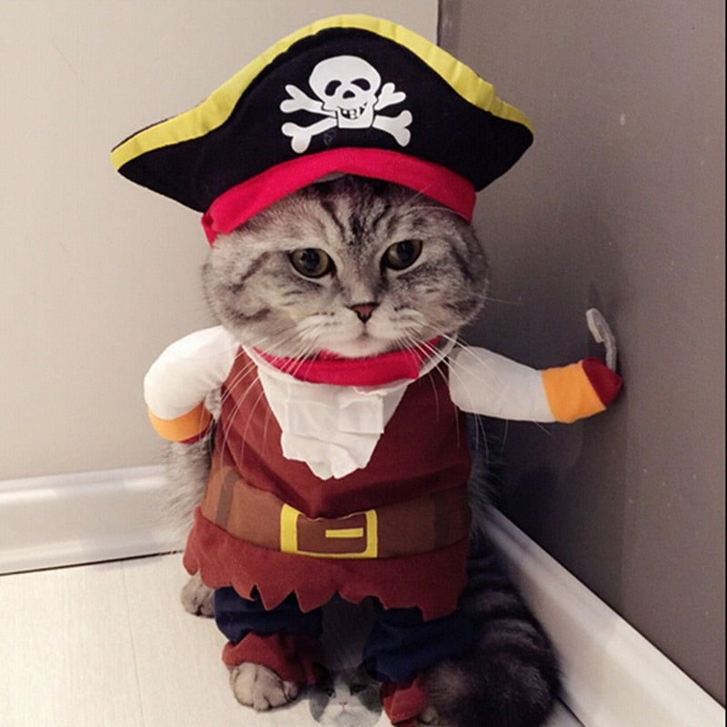 Hilarious Pet Pirate Costume