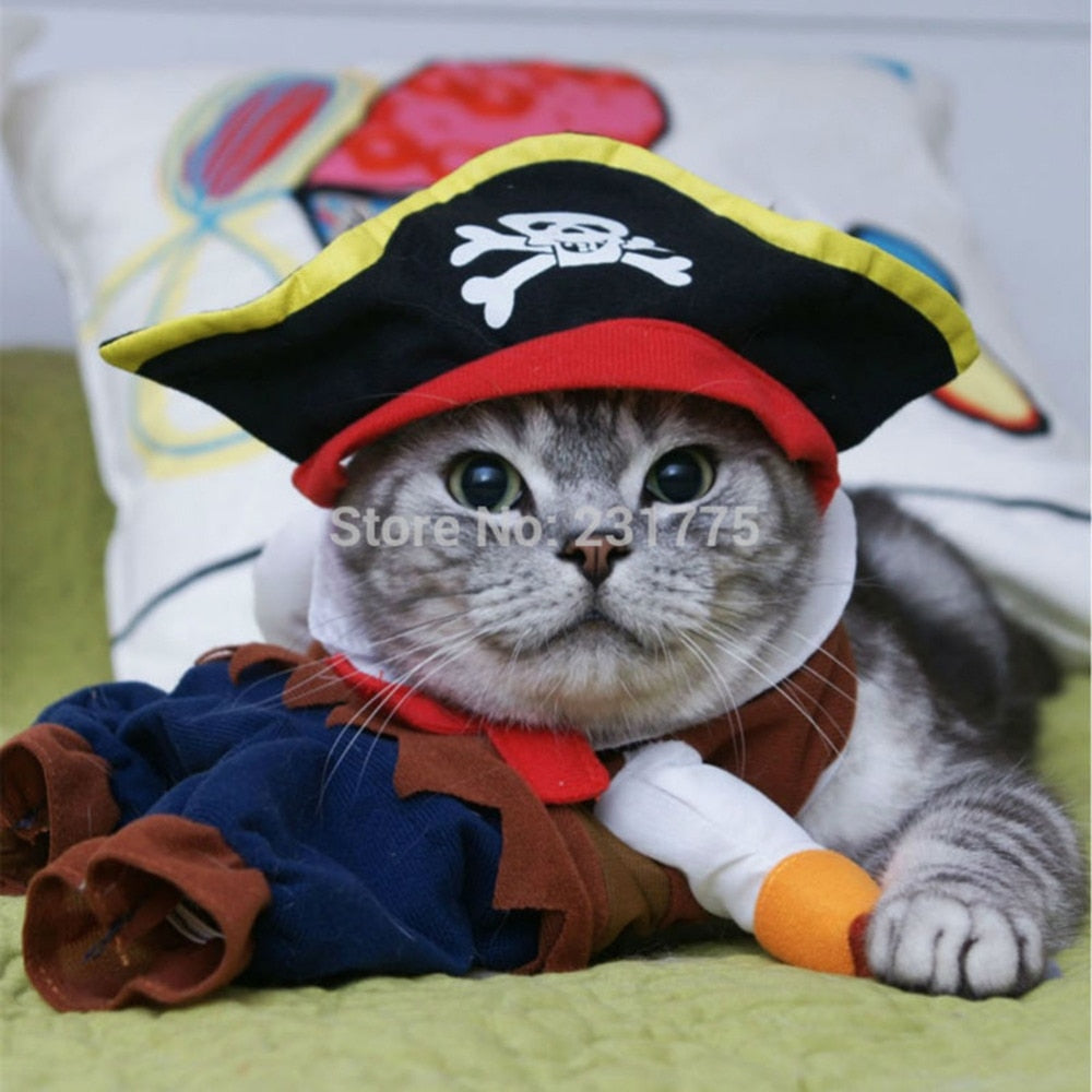 Hilarious Pet Pirate Costume