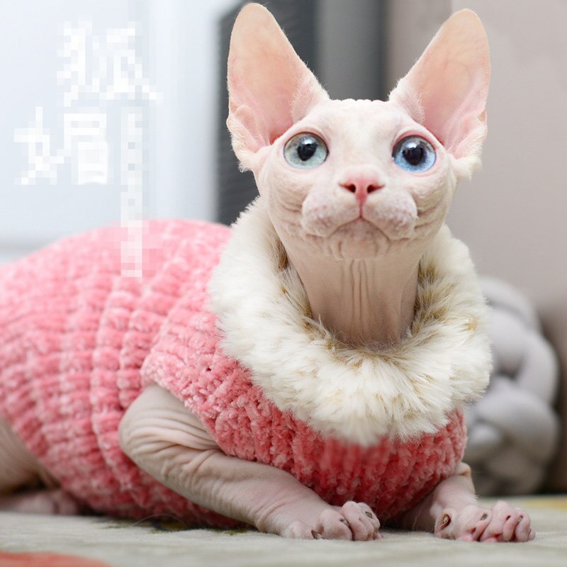 Handmade Cat Sweater