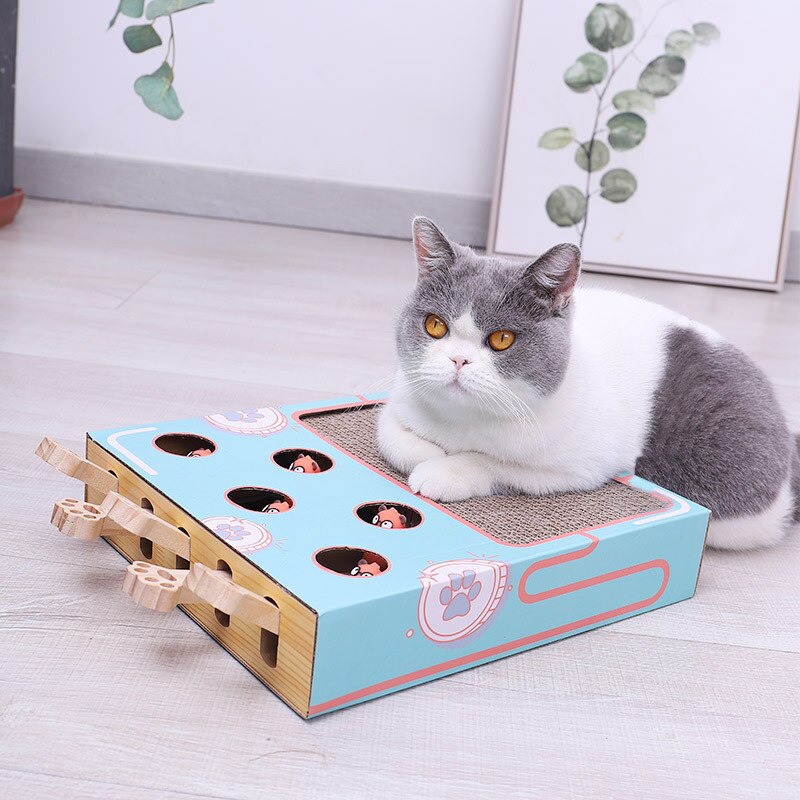 Cat Hunting Toy: Hamster Machine for Interactive Play