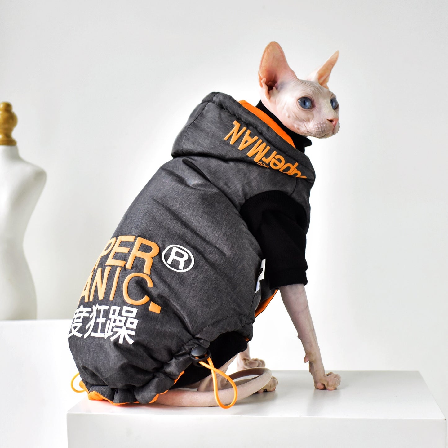 Winter Coat for Hairless Cats